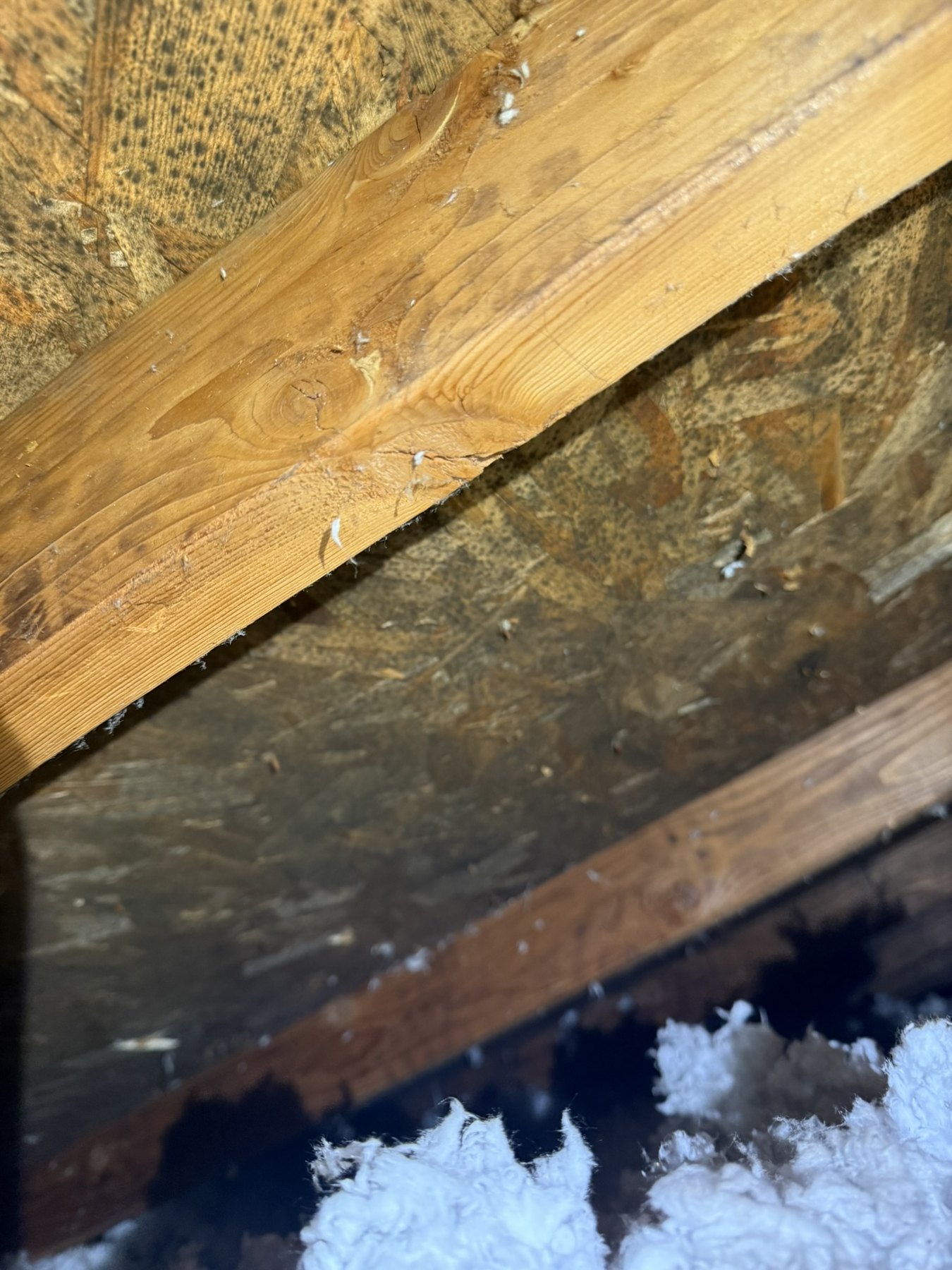 Attic remediation before