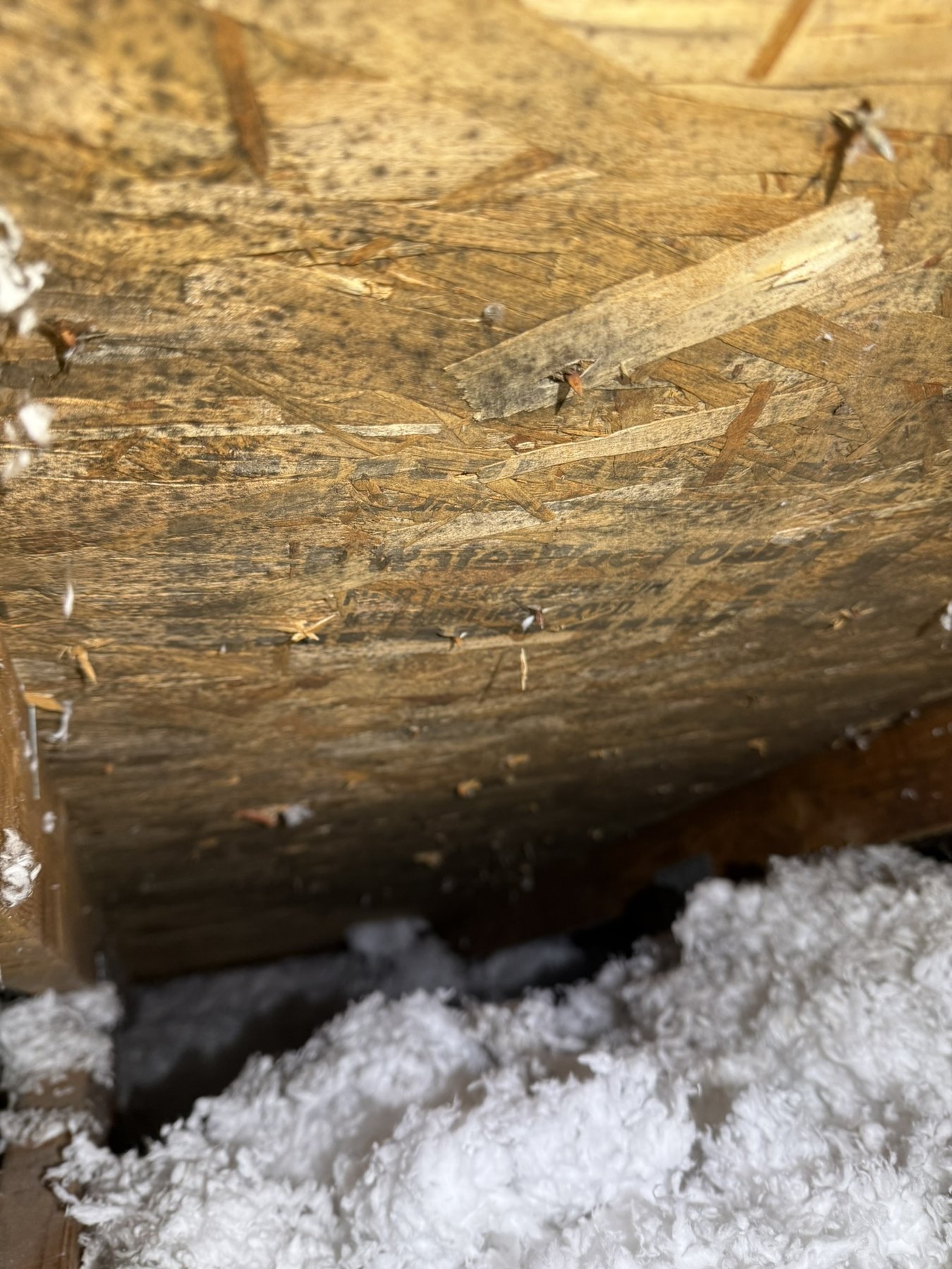 Attic remediation before, area 2