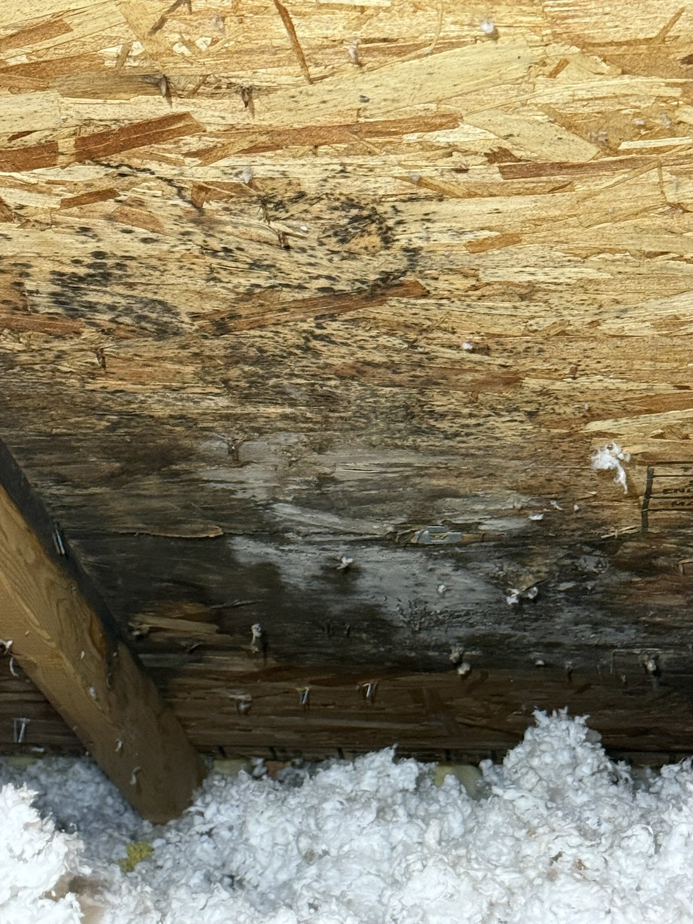 Attic remediation before, area 1