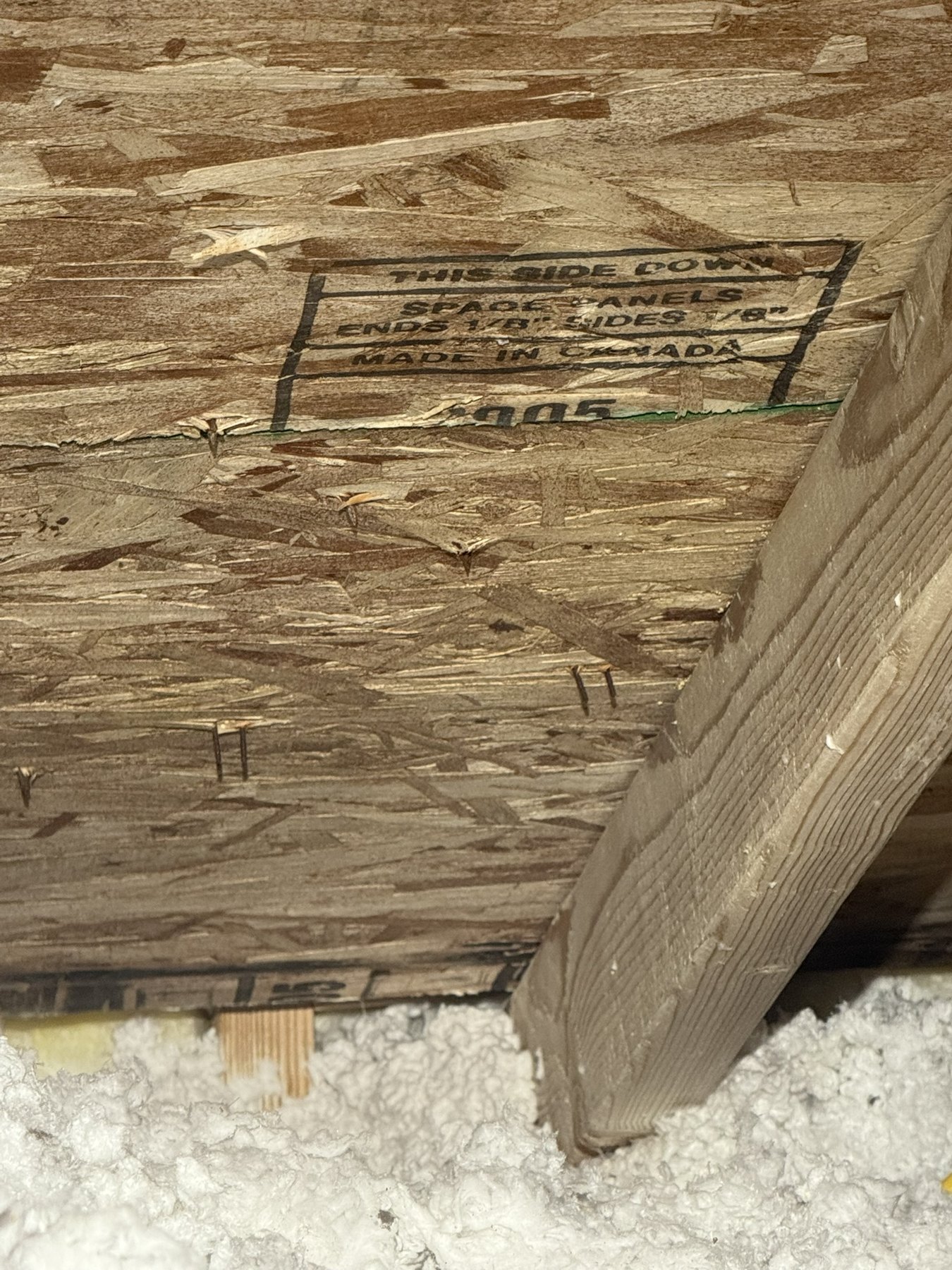Attic remediation after