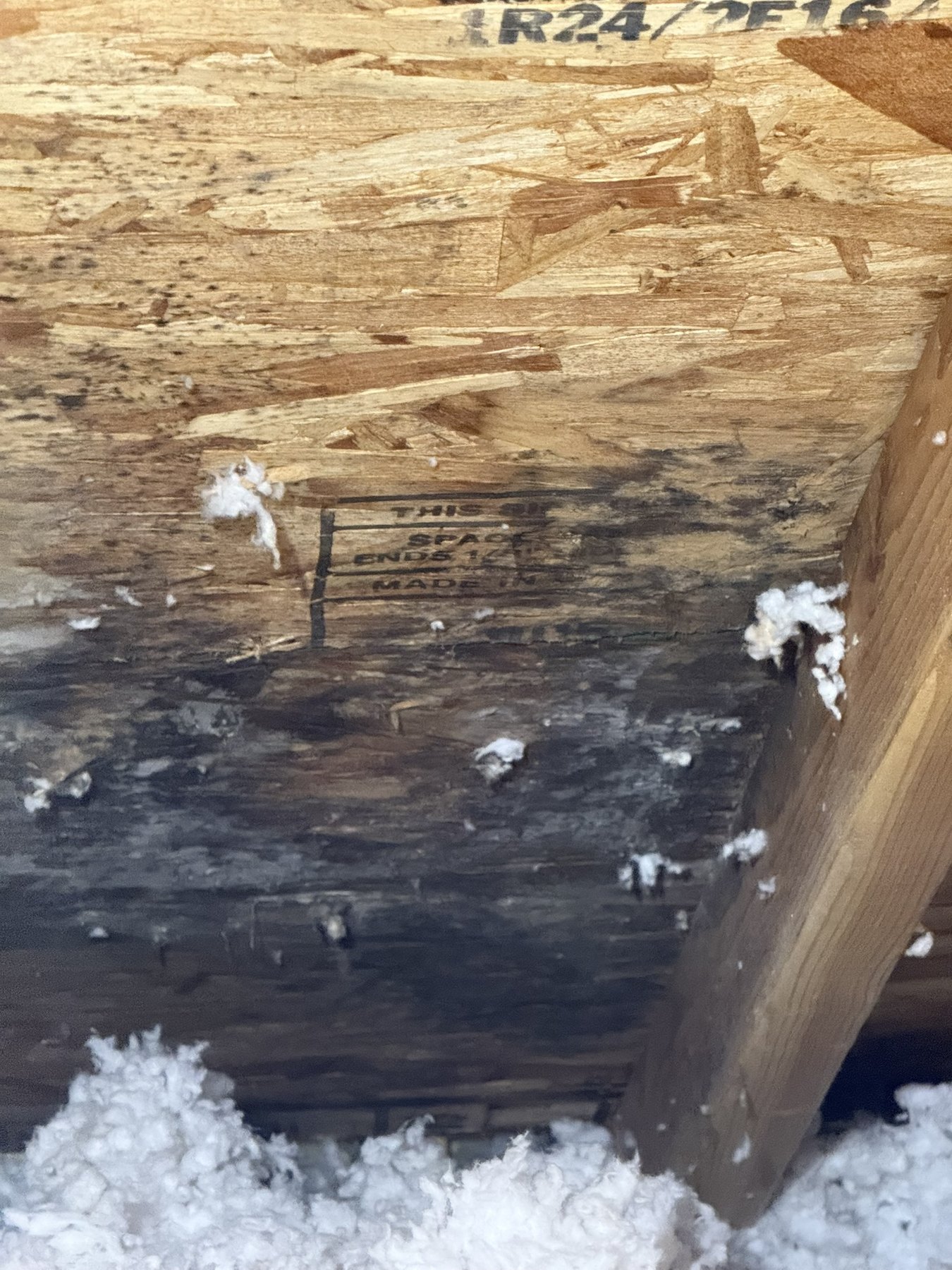 Attic remediation before