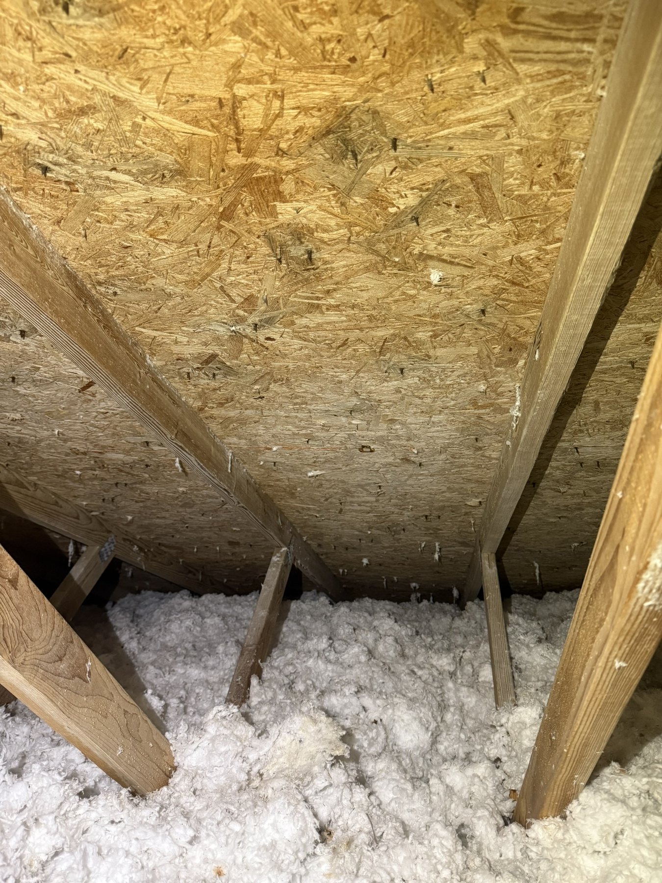 Attic remediation after