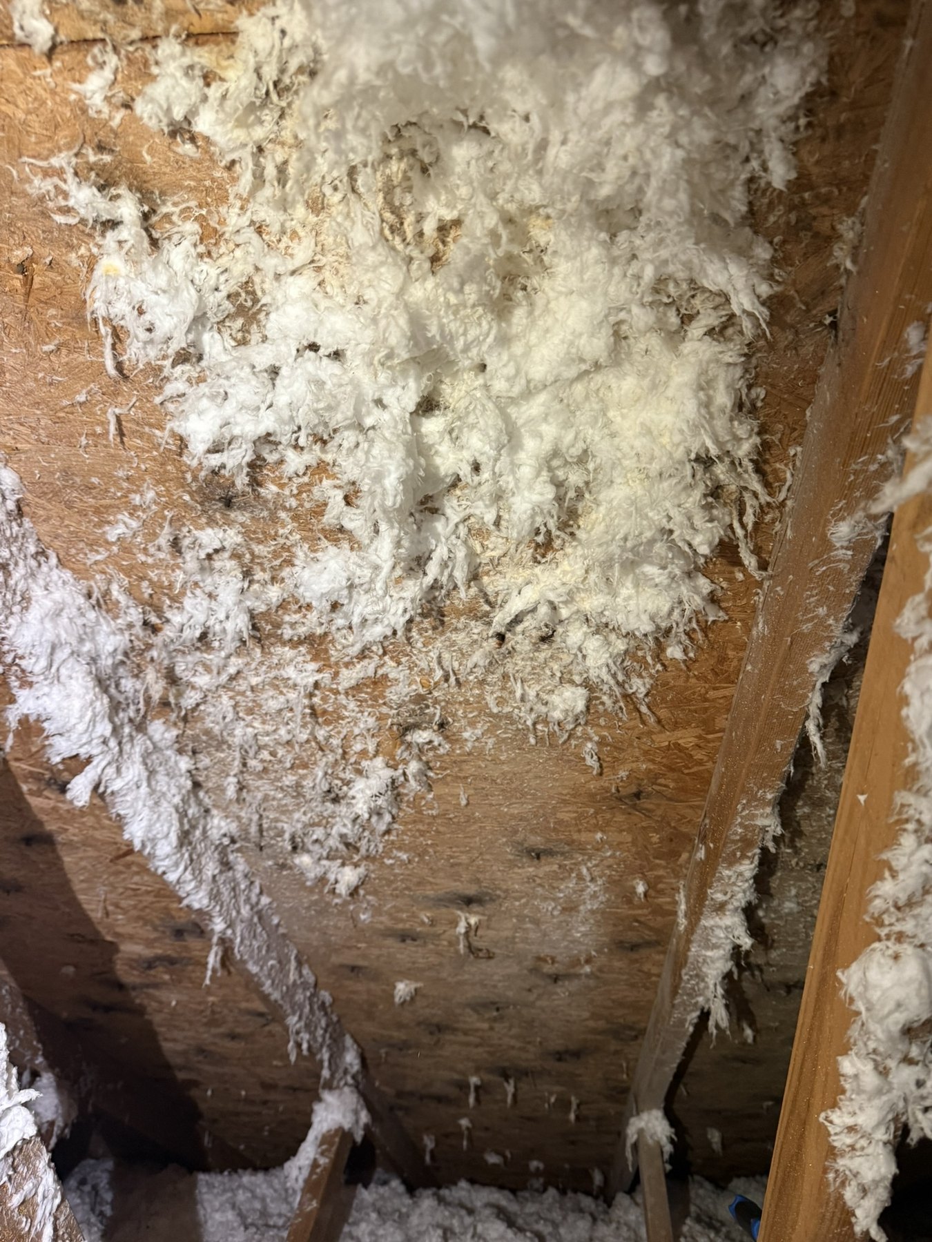 Attic remediation before