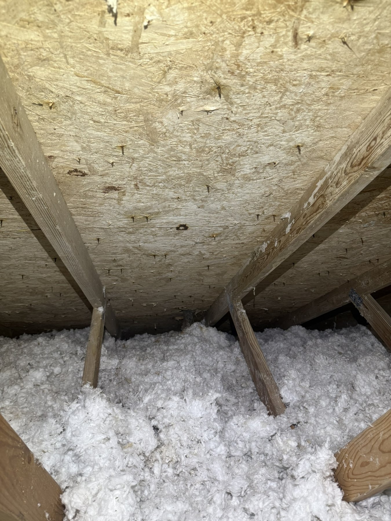 Attic remediation after, area 2