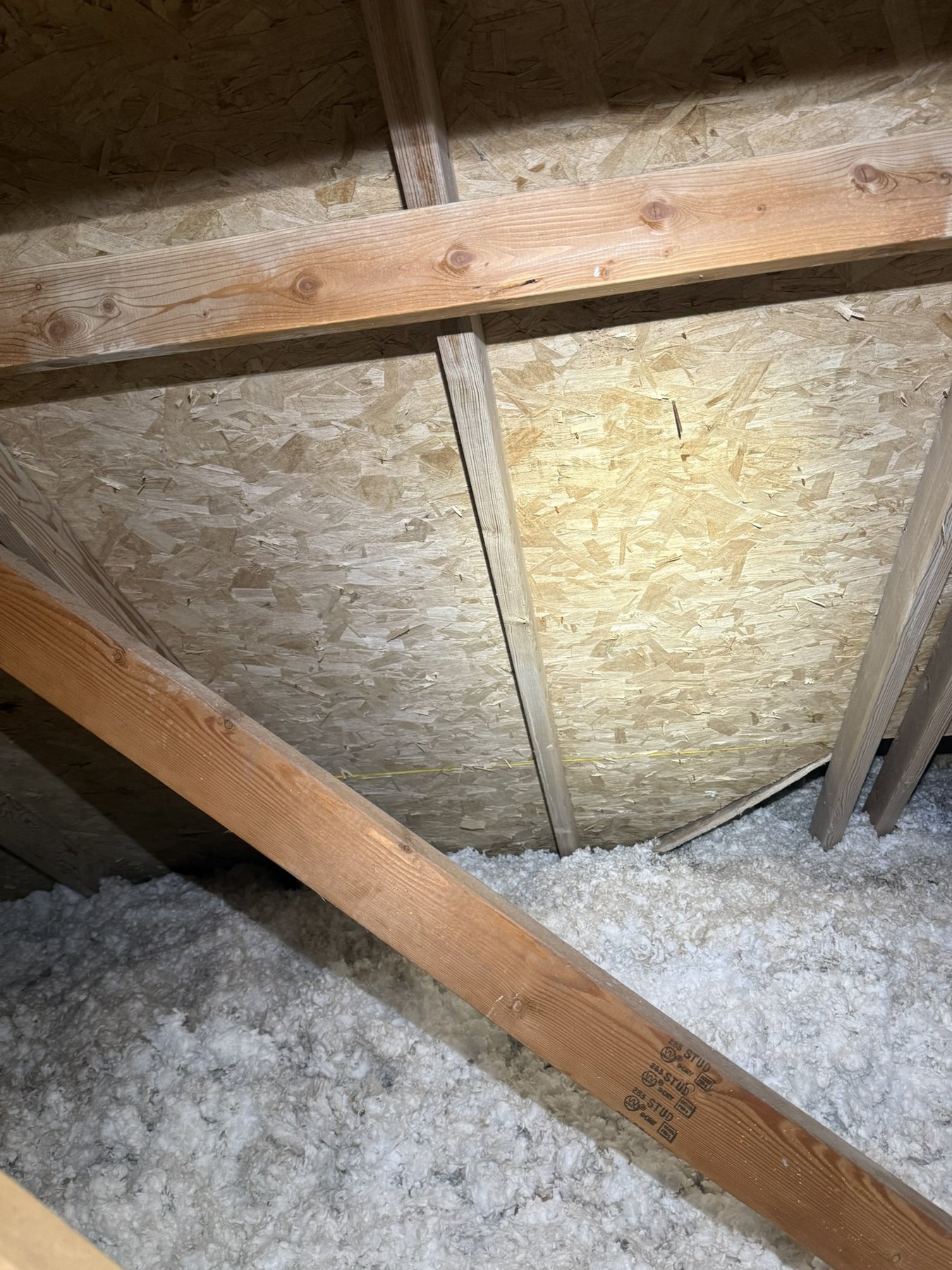Attic remediation after, area 1