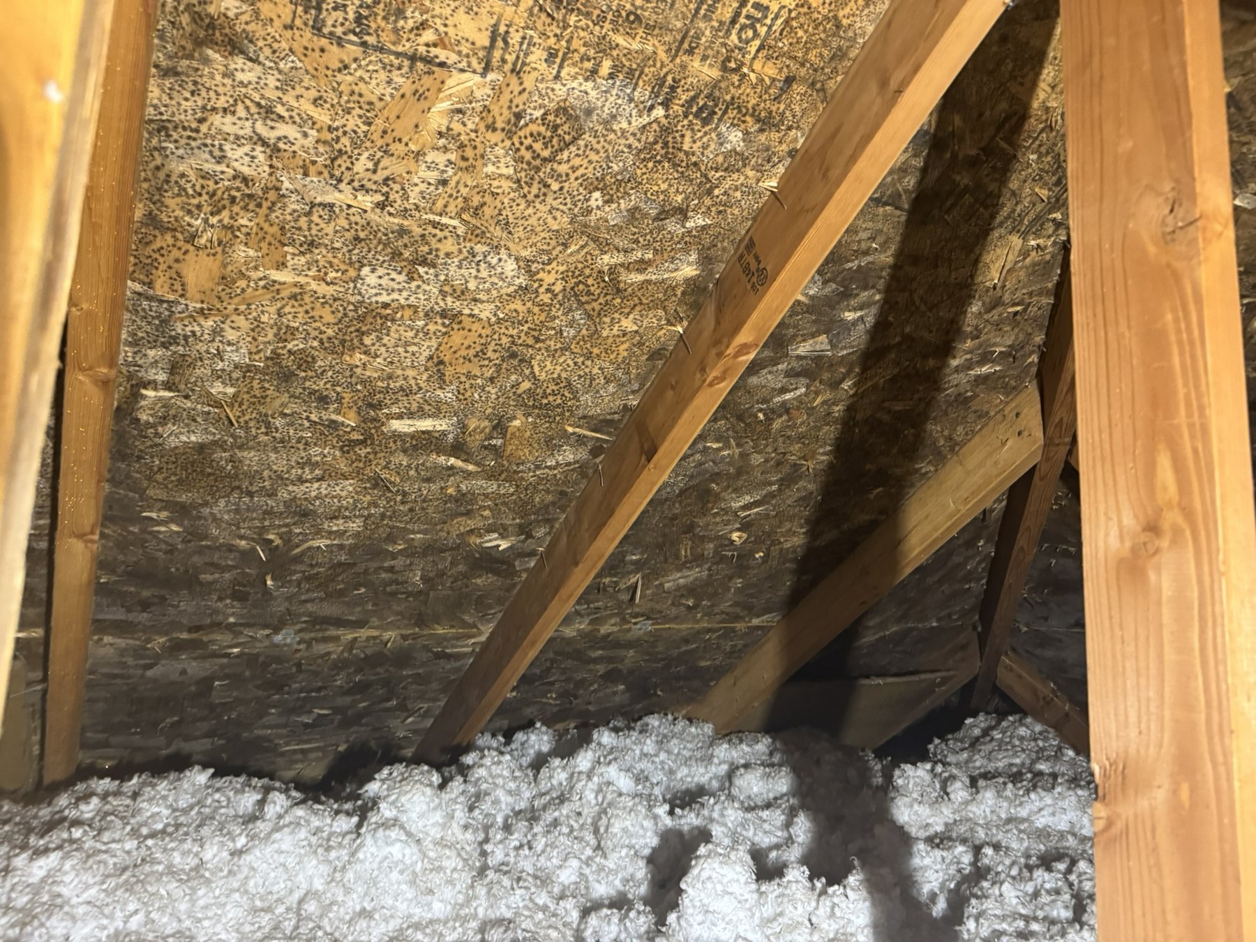 Attic remediation before, area 2