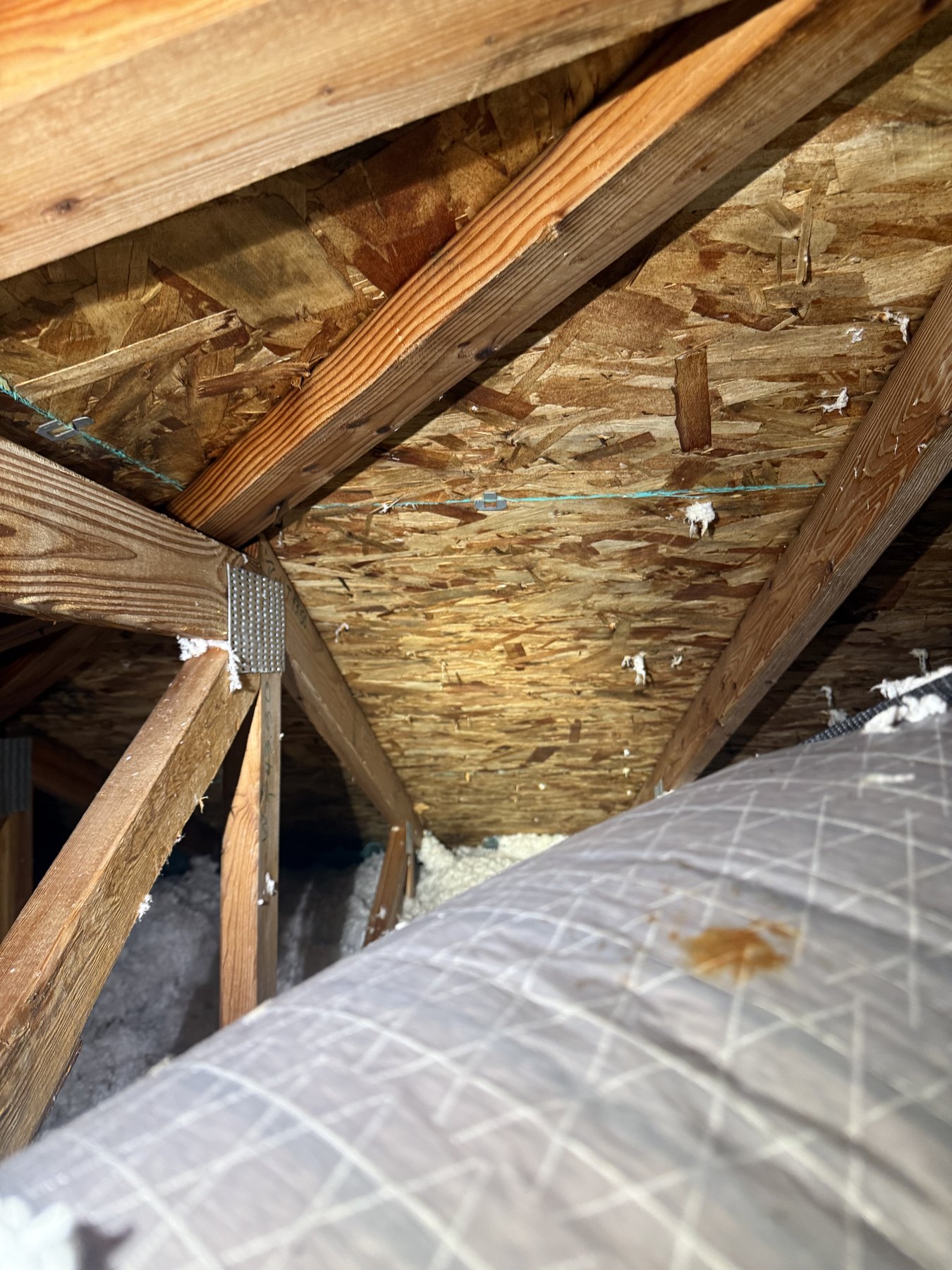 Attic remediation after, area 2