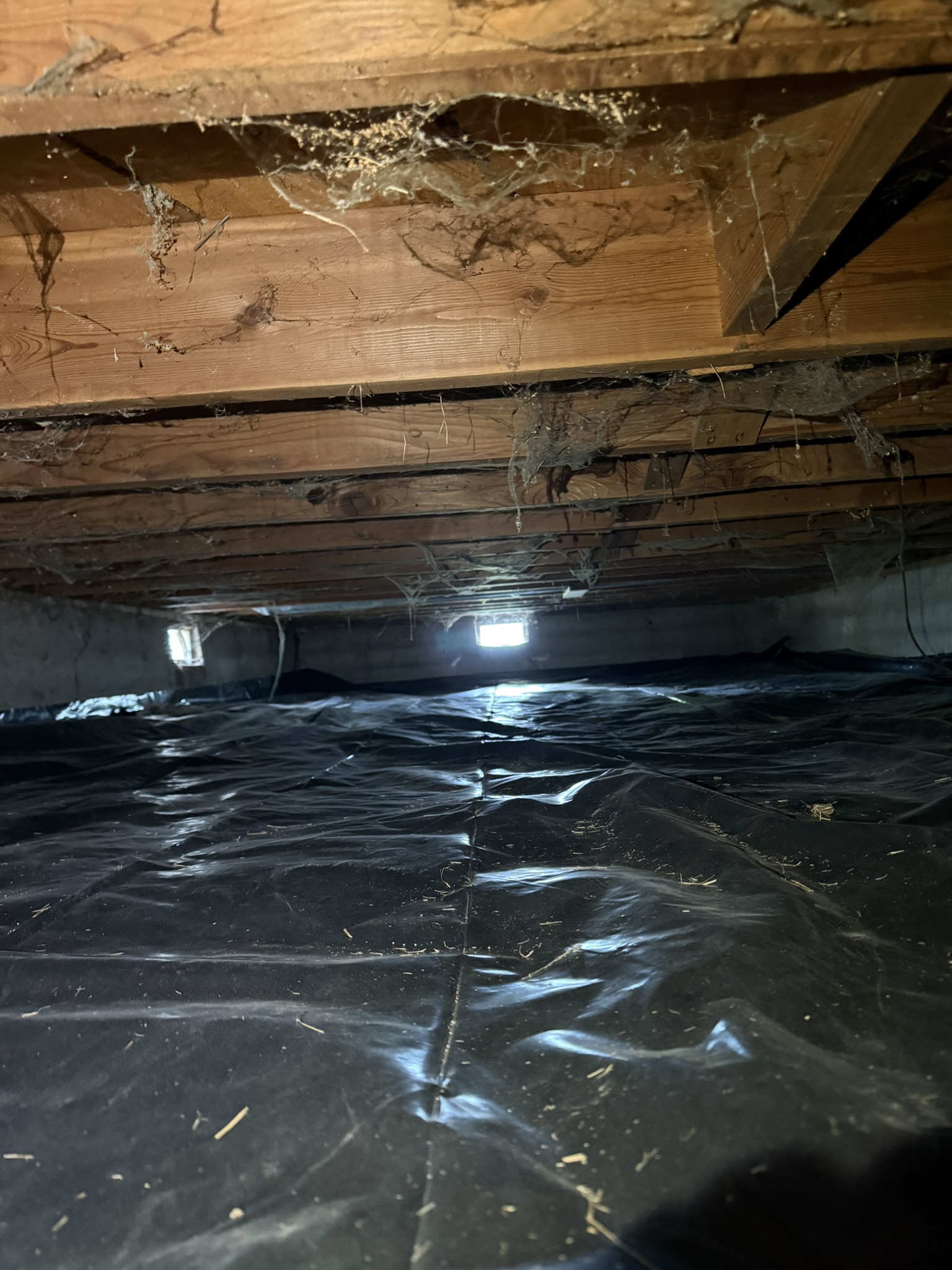 Crawlspace remediation after