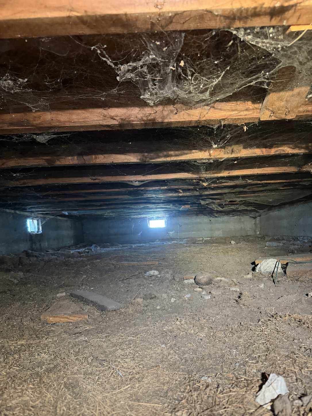 Crawlspace remediation before