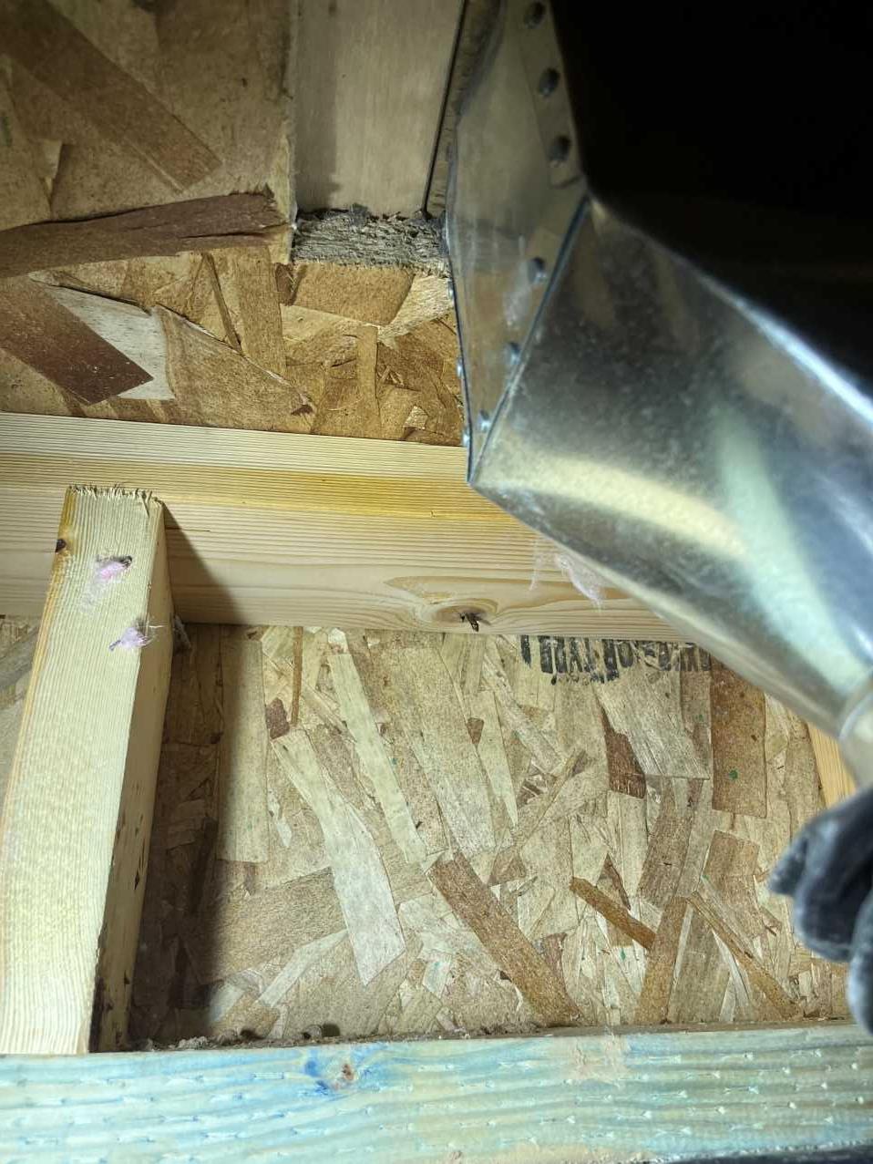 Crawlspace remediation after, area 1