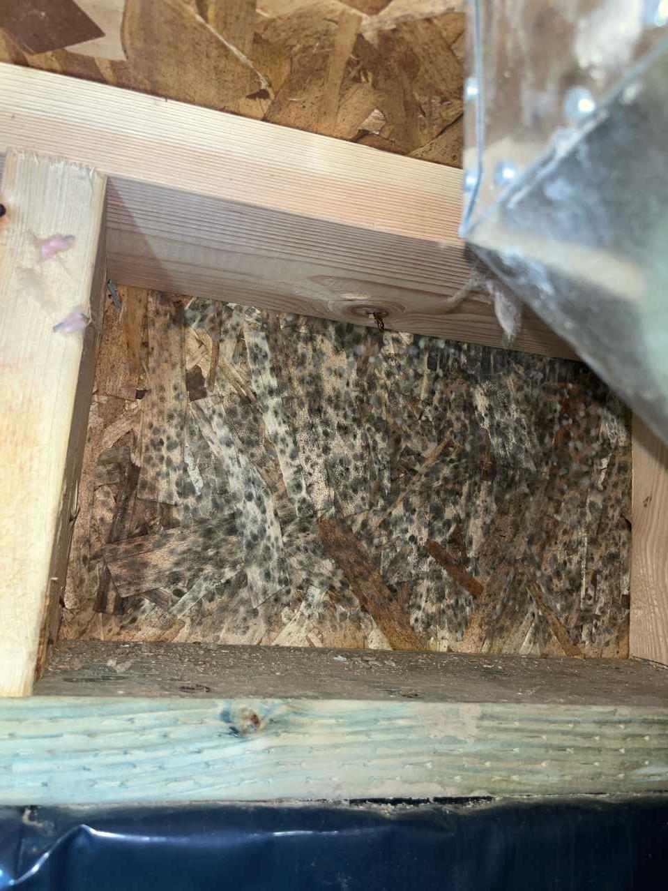 Crawlspace remediation before, area 1