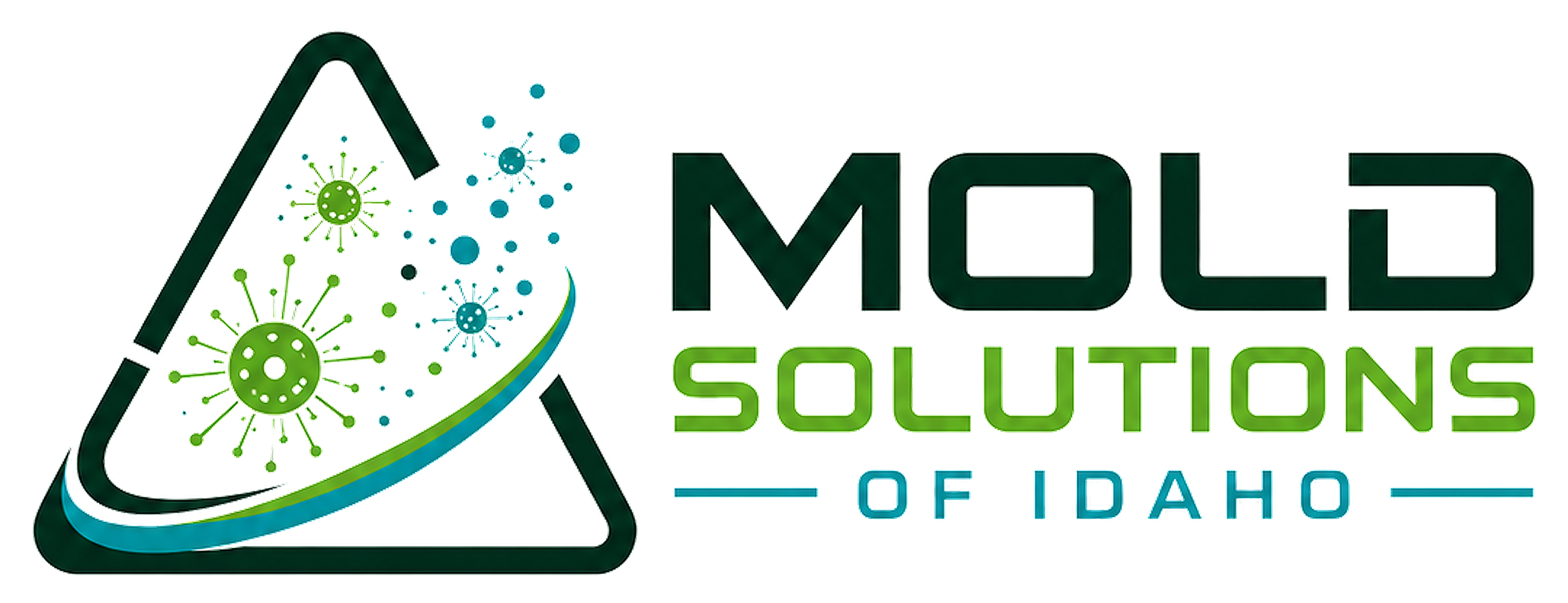 Mold Solutions of Idaho